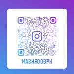 MashroobPK_Instagram